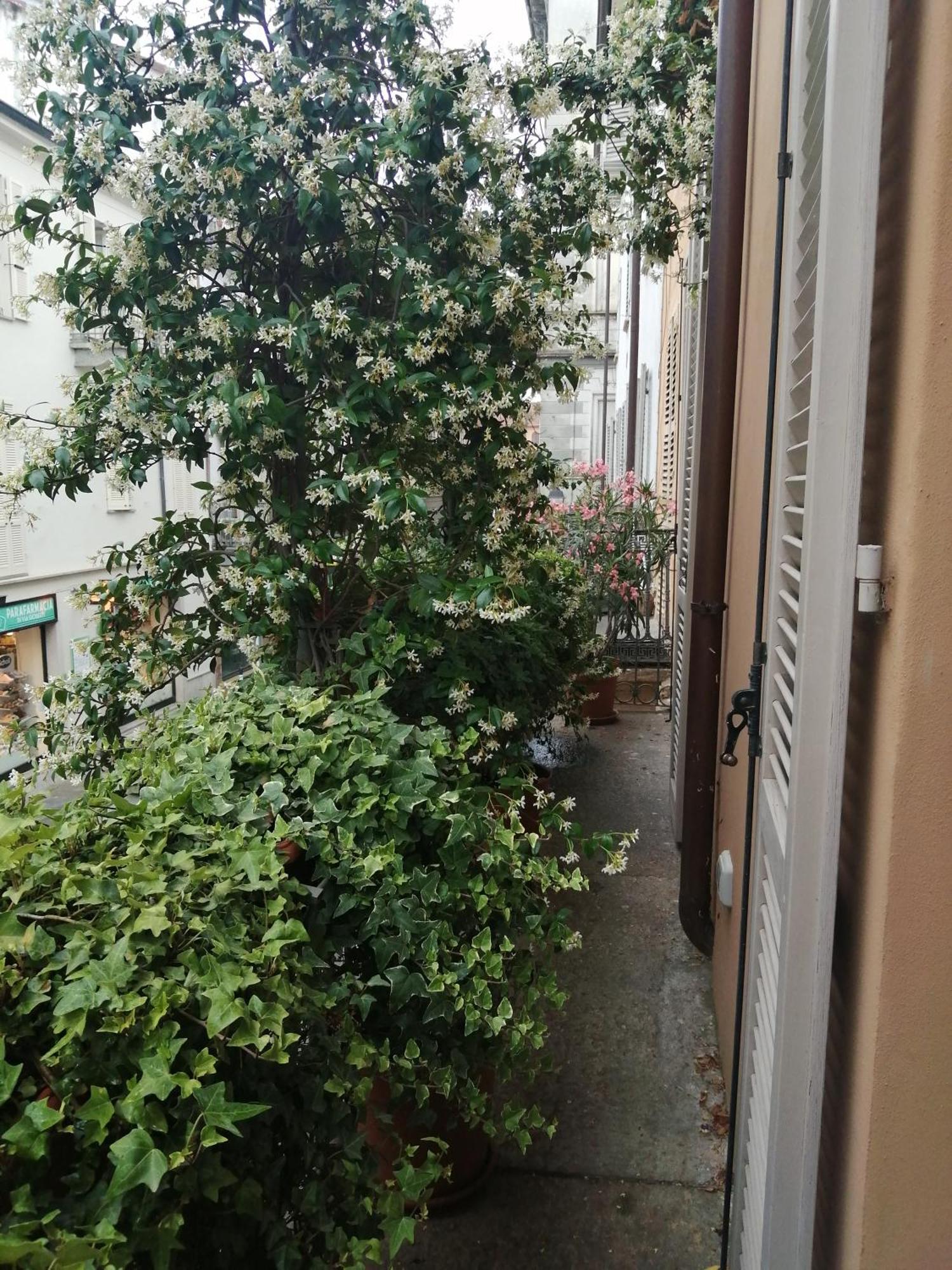 Appartamento Le Melusine Vercelli Esterno foto
